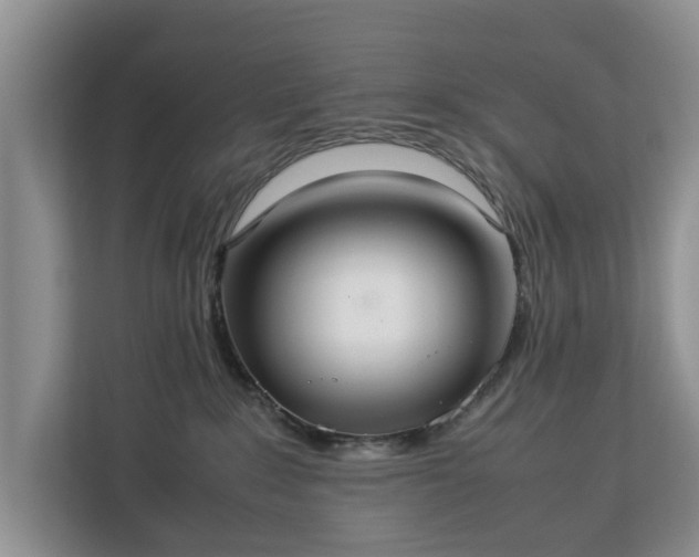 X0000112830235200908281538