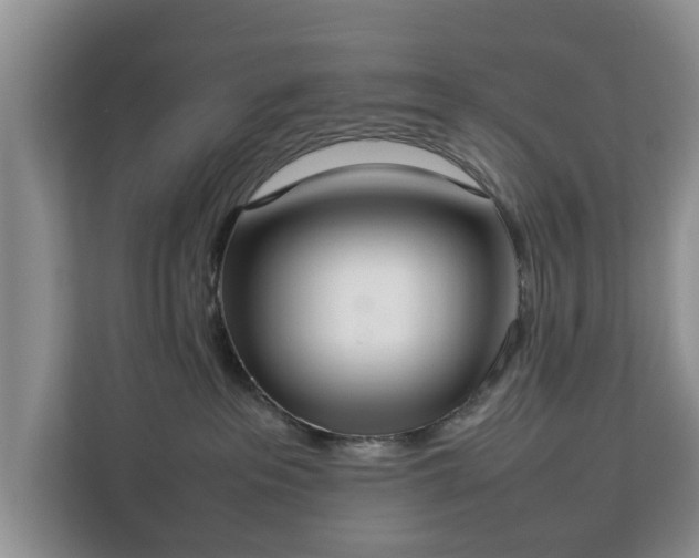 X0000112830237200908281538