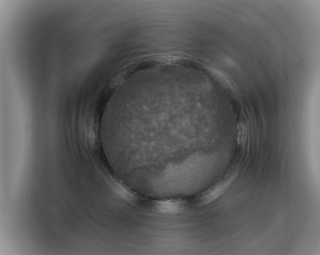 X0000112830238200908281538