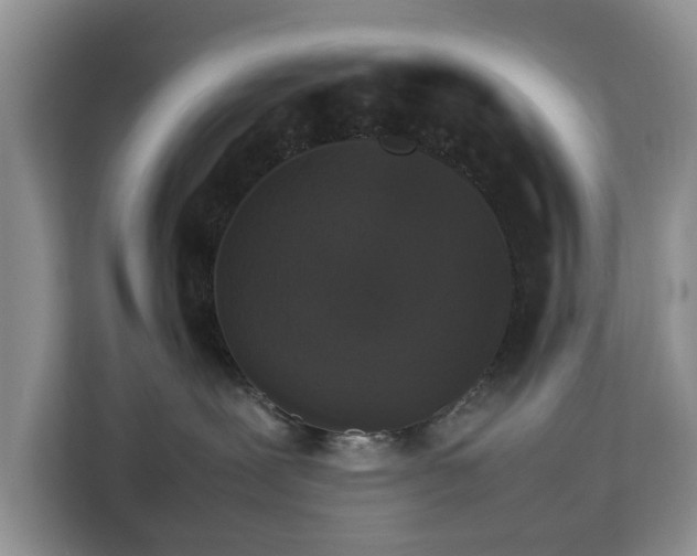 X0000112830239200908281538