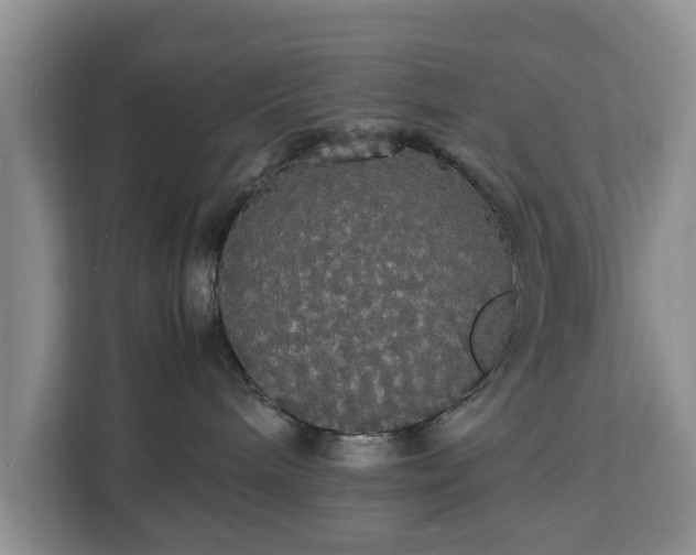 X0000112830240200908281538