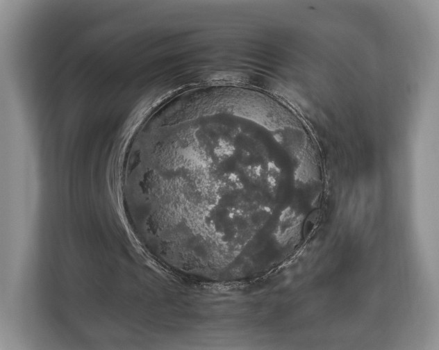 X0000112830241200908281537