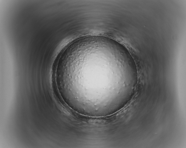 X0000112830242200908281537