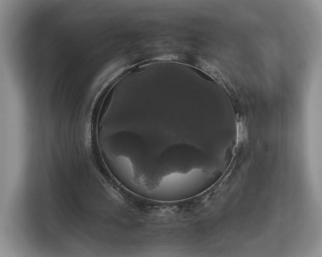 X0000112830243200908281537