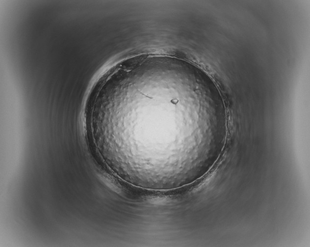 X0000112830246200908281537