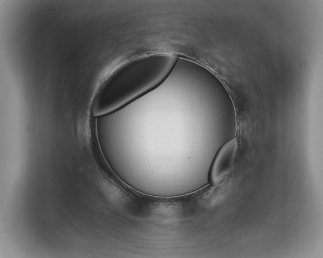 X0000112830248200908281537