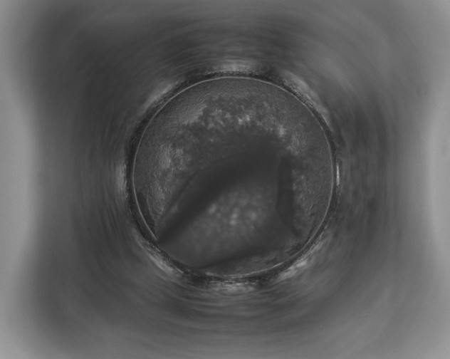 X0000112830249200908281537