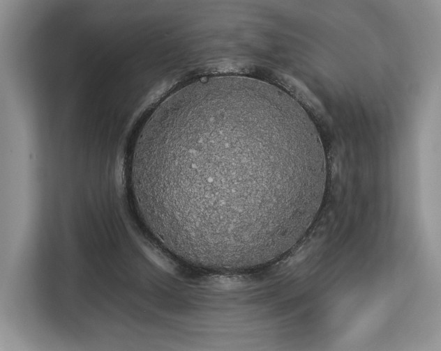 X0000112830250200908281537