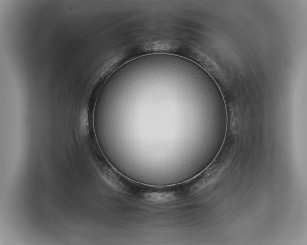 X0000112830251200908281537