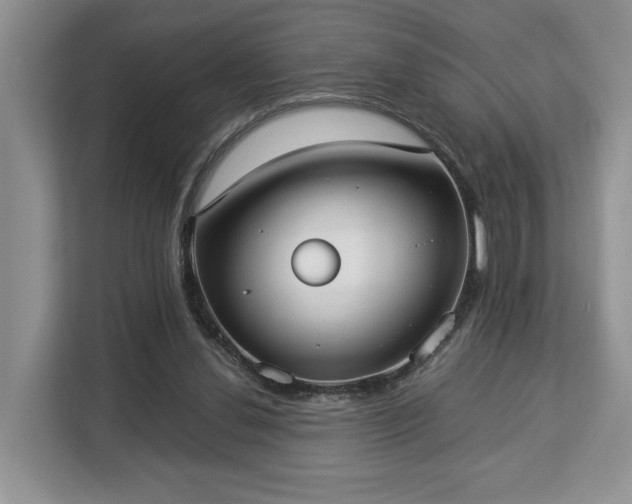 X0000112830252200908281537