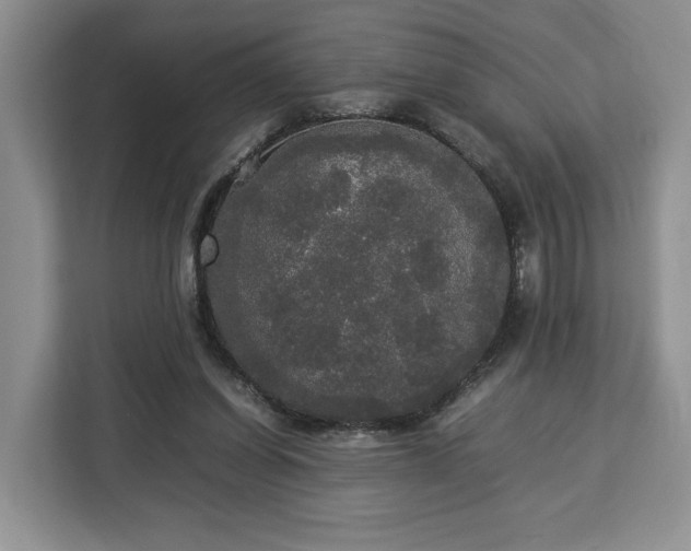 X0000112830254200908281537