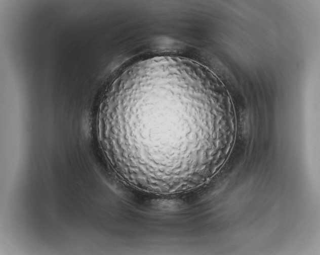 X0000112830255200908281537