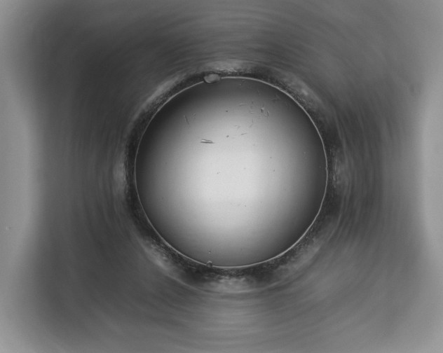 X0000112830256200908281537