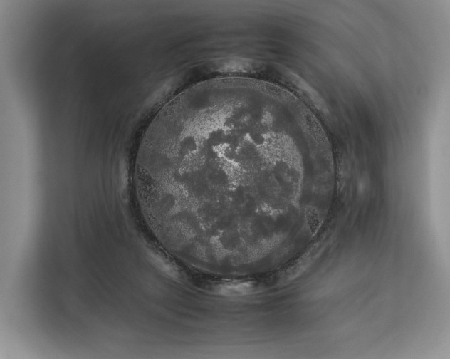 X0000112830257200908281537