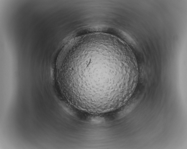 X0000112830258200908281537