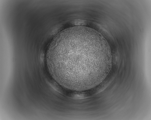 X0000112830263200908281537