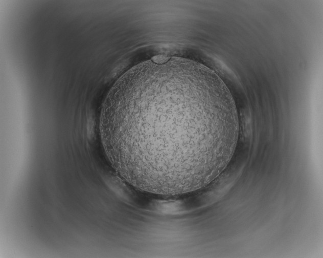 X0000112830266200908281537