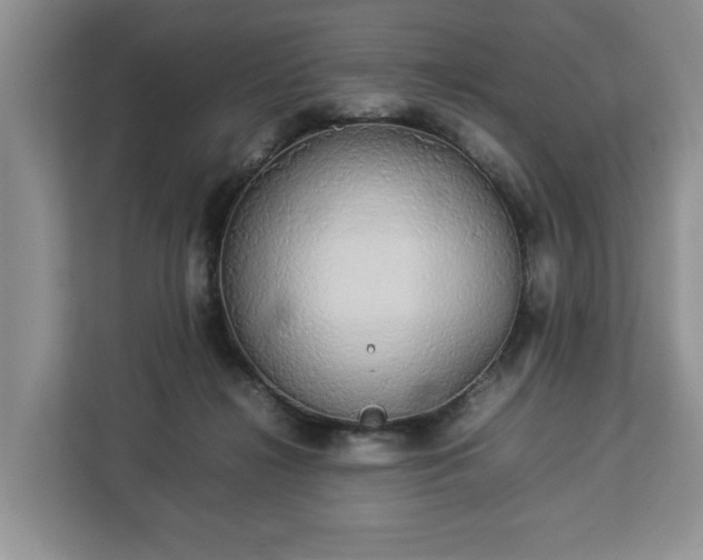 X0000112830268200908281537