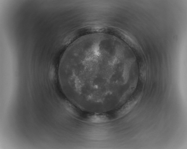 X0000112830270200908281537