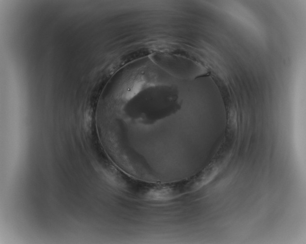 X0000112830271200908281537