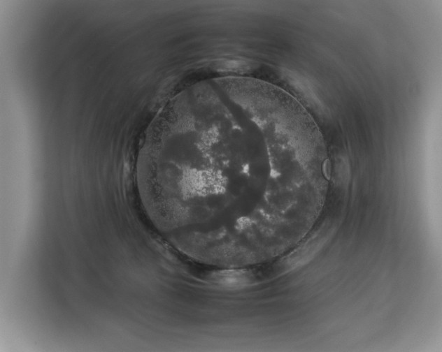 X0000112830273200908281537