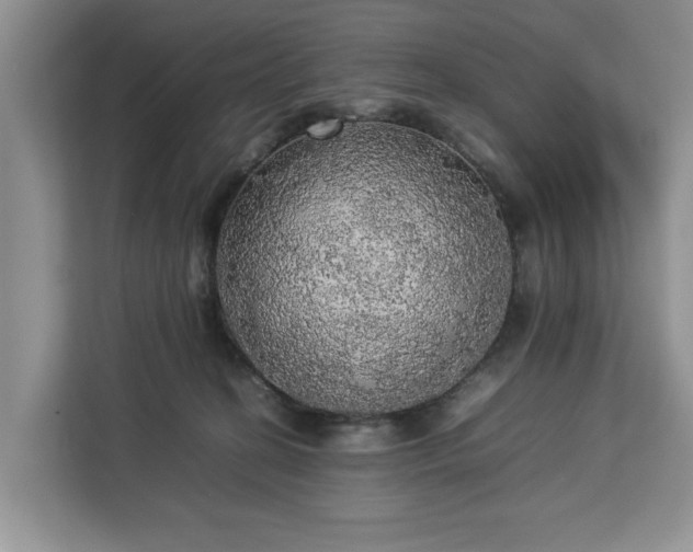 X0000112830274200908281538