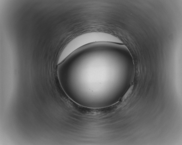 X0000112830276200908281538