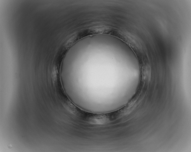 X0000112830279200908281538