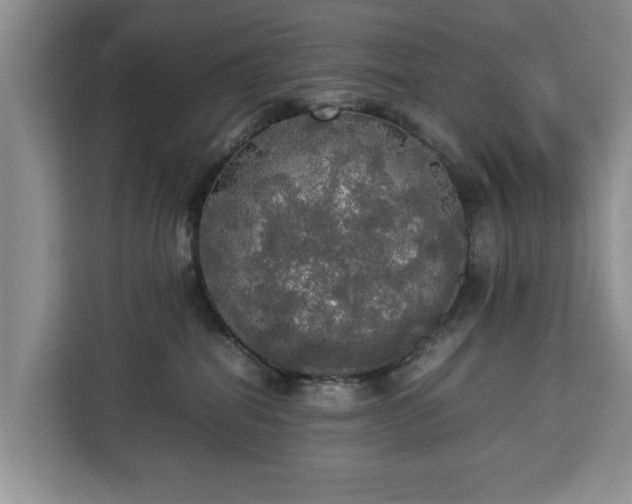 X0000112830282200908281538