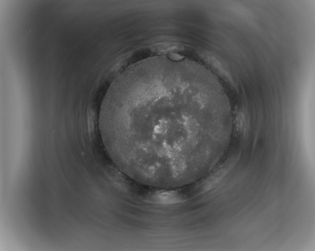 X0000112830283200908281538