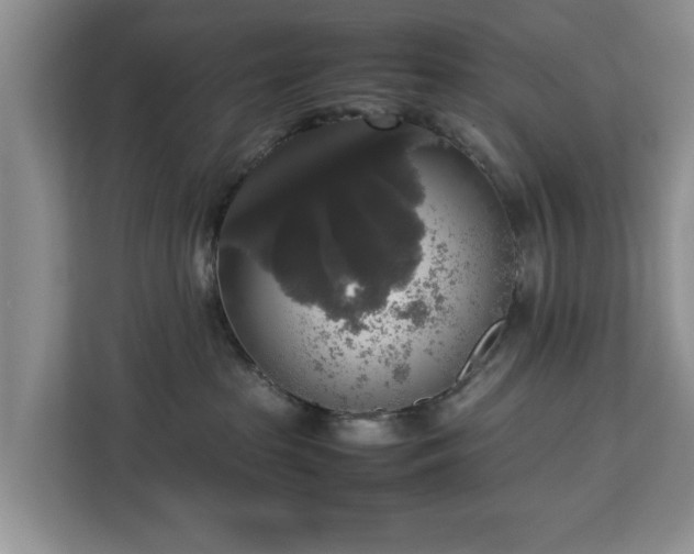 X0000112830285200908281538