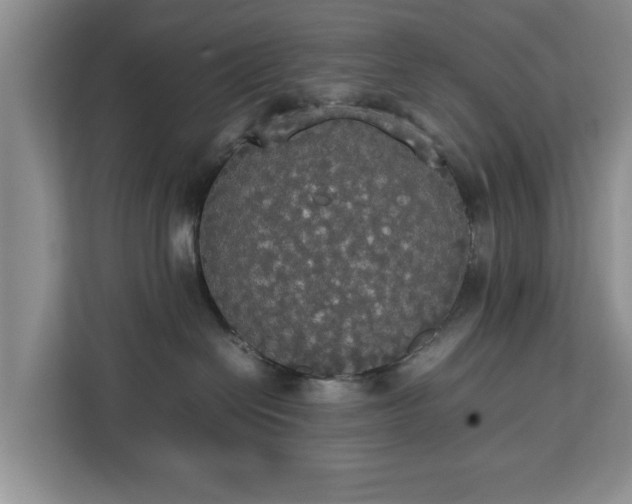 X0000112830286200908281538