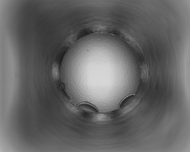 X0000112830287200908281538