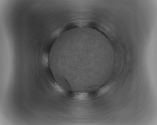 X0000112830288200908281538