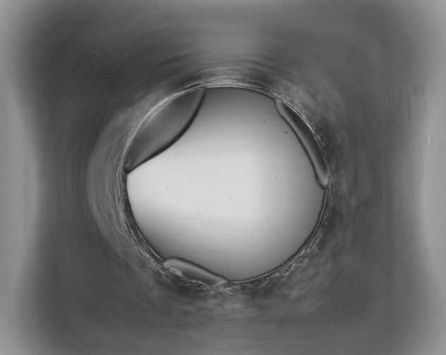 X0000112830289200908281537