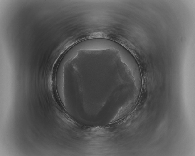 X0000112830290200908281537