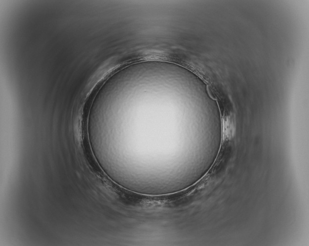 X0000112830291200908281537