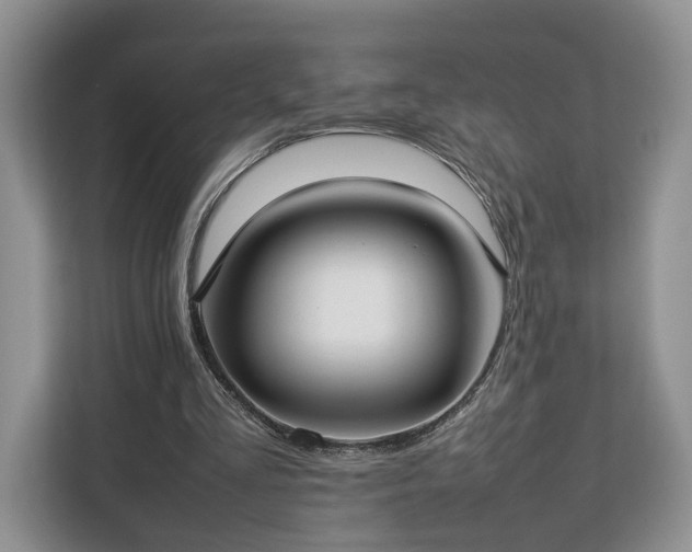 X0000112830293200908281537