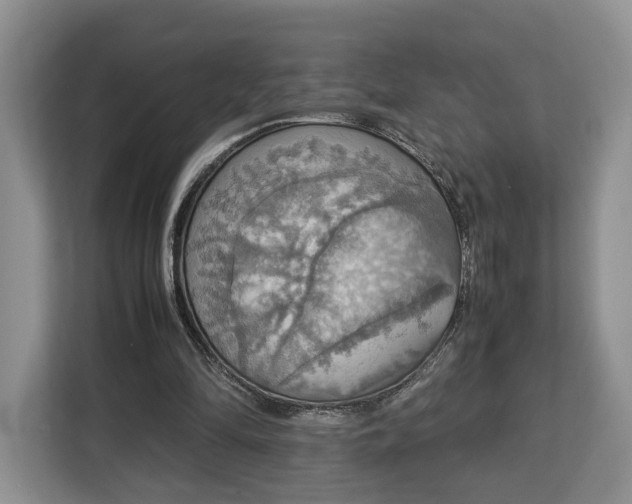 X0000112830294200908281537