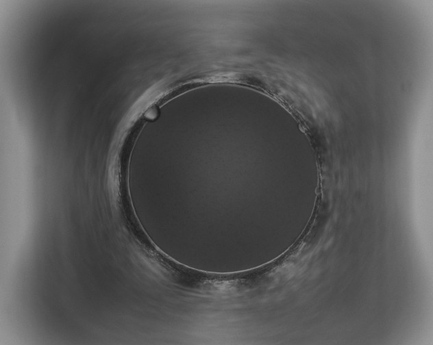 X0000112830295200908281537