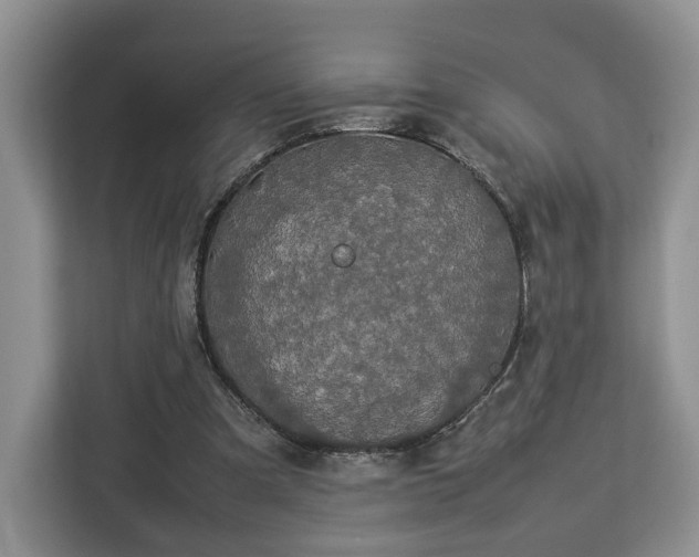 X0000112830297200908281537