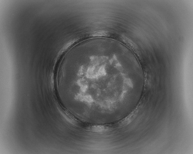 X0000112830298200908281537