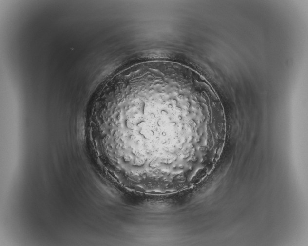 X0000112830299200908281537