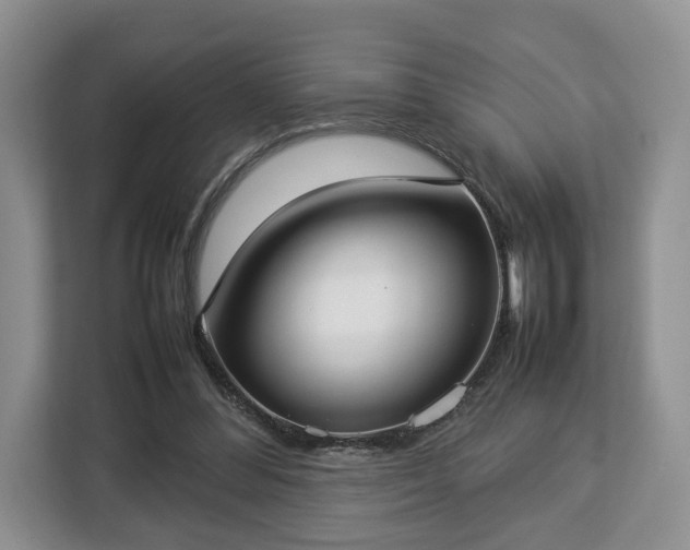 X0000112830300200908281537