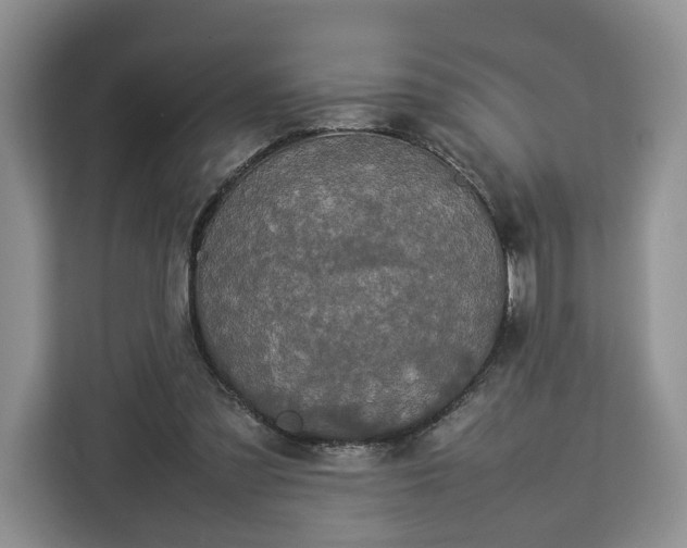 X0000112830301200908281537