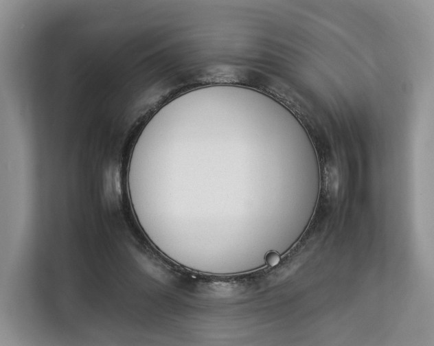 X0000112830302200908281537