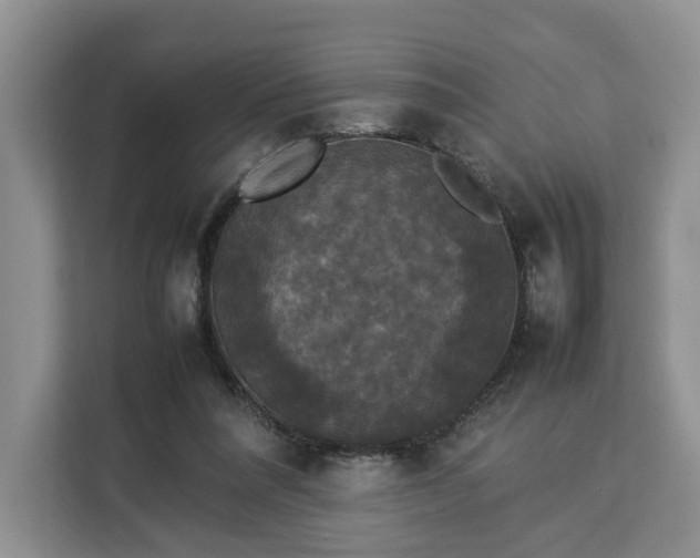 X0000112830304200908281537