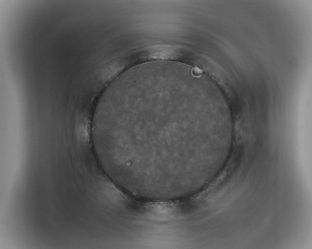 X0000112830305200908281537