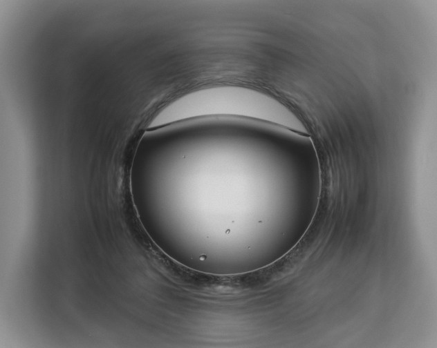 X0000112830308200908281537