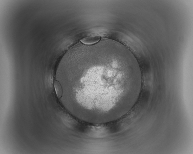 X0000112830309200908281537